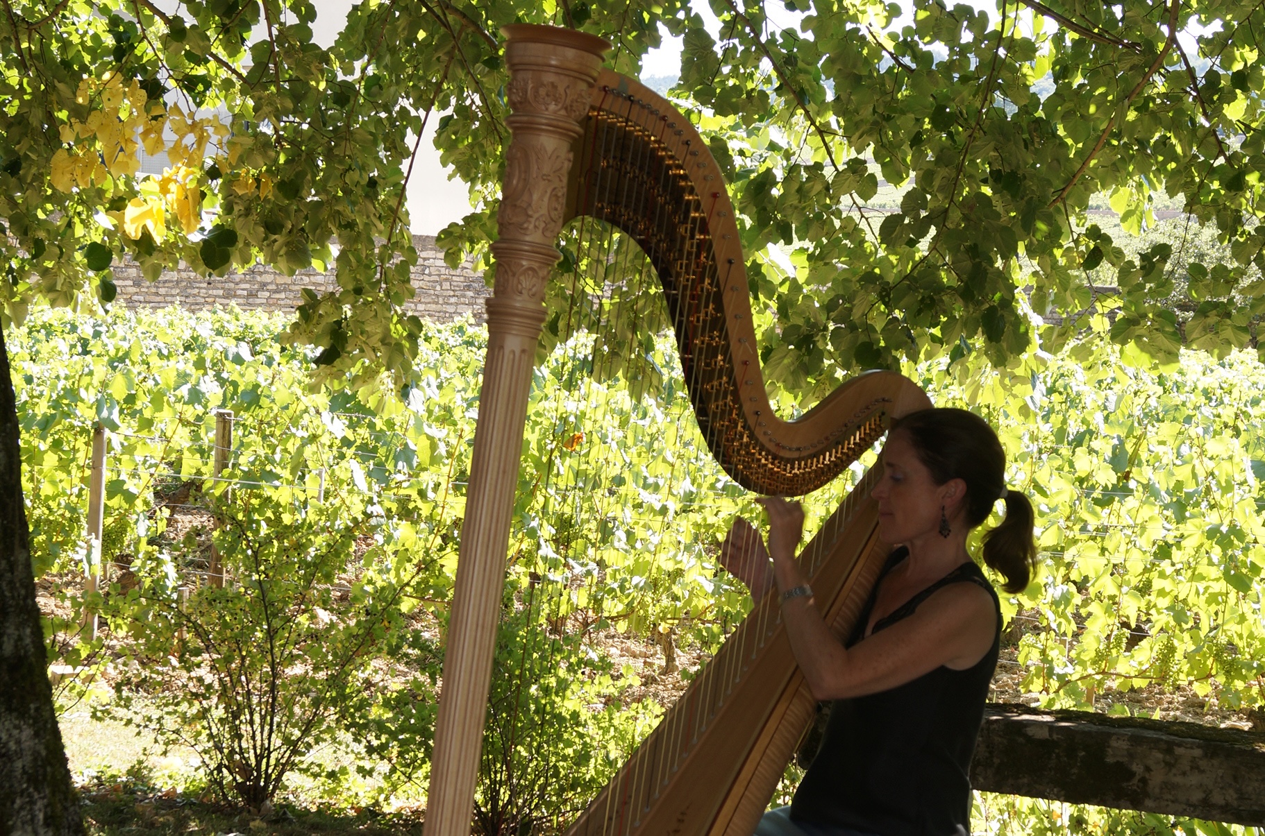 Bild der Harfenistin Agnès Peytour